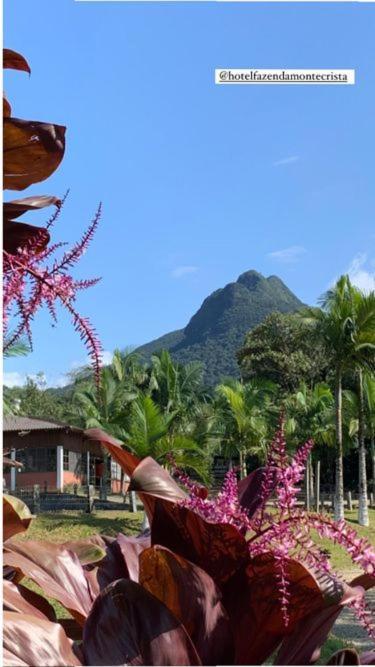 Hotel Fazenda Monte Crista Rio Bonito  Экстерьер фото